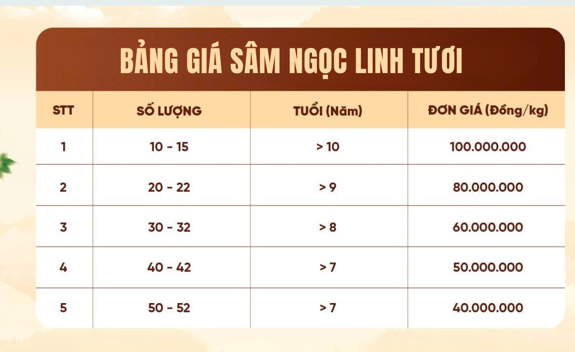 sâm Ngọc Linh giá bao nhiêu 1kg